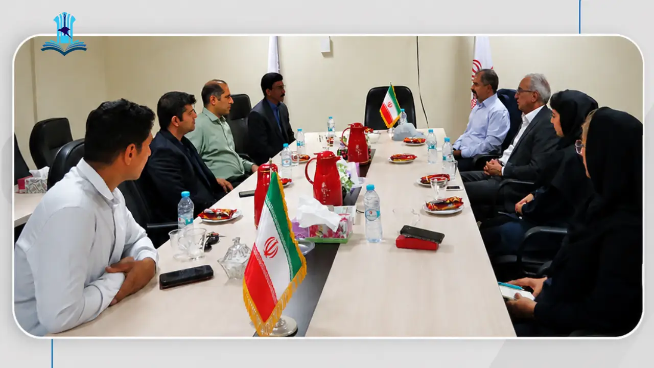 دانشگاه ارگ جدید