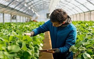 کاردانی فنی باغبانی – تولیدات گلخانه‌ای